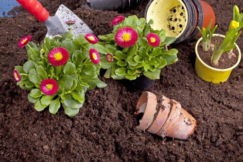Beautiful garden landscape designed by Gardening Services Kenton
