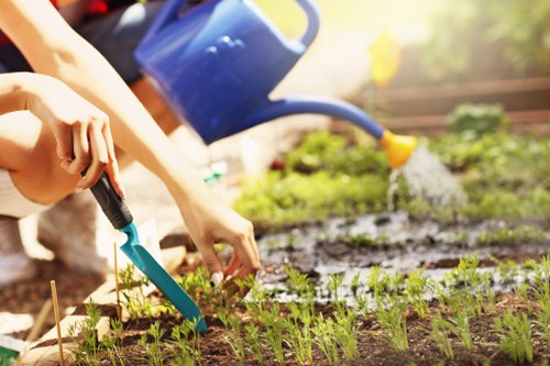 The image depicts a backyard garden in natural daylight, showing a section of well-maintained soil with young green plants arranged in neat rows, likely seedlings or flowering plants. In the background, there is a textured paved pathway made of concrete or stone, bordered by recent garden activity. To the left, a person is actively planting or tending to the seedlings using a small hand trowel, with their hand visible and wearing casual gardening attire. A blue watering can is held by another individual, pouring water over the garden beds, promoting healthy plant growth. The overall environment appears to be a landscaped outdoor space, possibly part of a residential garden in Kenton or nearby, with natural light emphasizing the vivid green foliage and the well-kept soil. This scene highlights ongoing gardening work, such as planting and watering, which relates to professional garden services for maintaining and cultivating healthy outdoor spaces in the area, aligning with the services offered by Gardening Services Kenton.