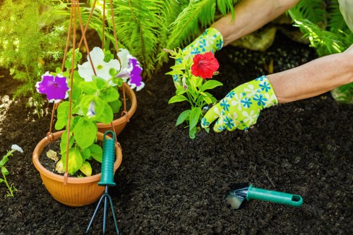 The image shows a gardener planting vibrant red and green flowering plants into rich, dark soil within a landscaped garden. The gardener's hands, wearing colorful patterned gardening gloves, are positioned among the plants, with a small hand trowel lying nearby on the ground. In the background, there are potted plants hanging with green foliage, and various garden tools suggest ongoing outdoor maintenance. The garden appears well-kept with healthy, lush plants and a neat arrangement, reflecting careful landscaping work. The scene is set outdoors in natural daylight, with the focus on the planting process and the lush, verdant environment typical of a residential garden in Kenton or nearby areas, aligning with professional gardening and landscaping services offered by Gardening Services Kenton.